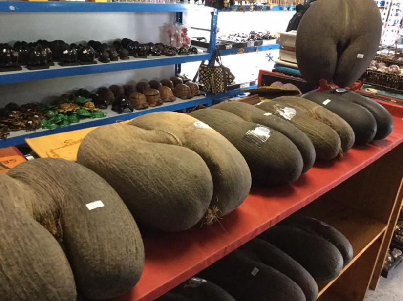 35527337_1766902623346507_4081341657126010880_n