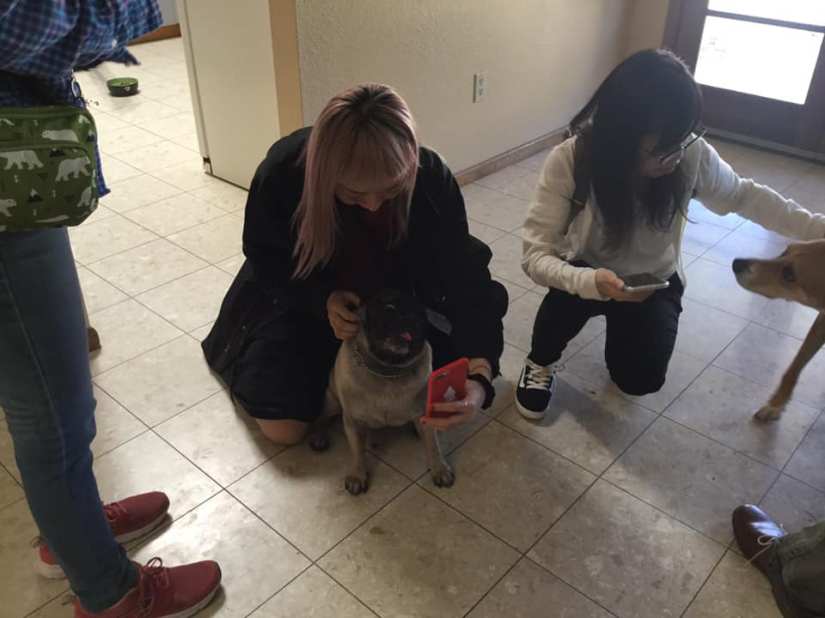 56301845_669510240135834_117190553493307392_n