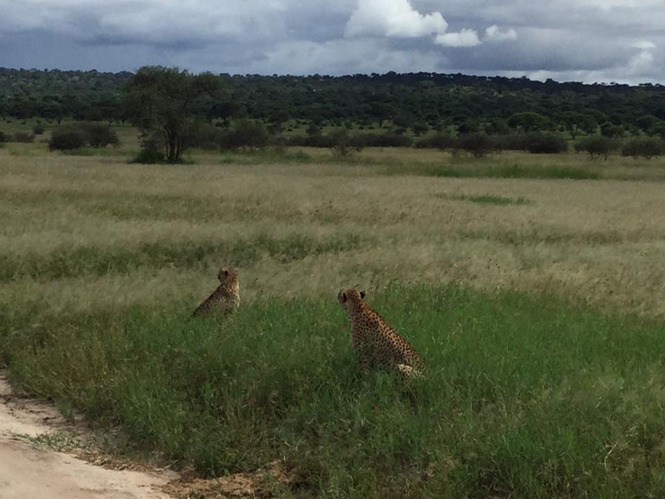 32498303_10160402696710652_3546331986383601664_n