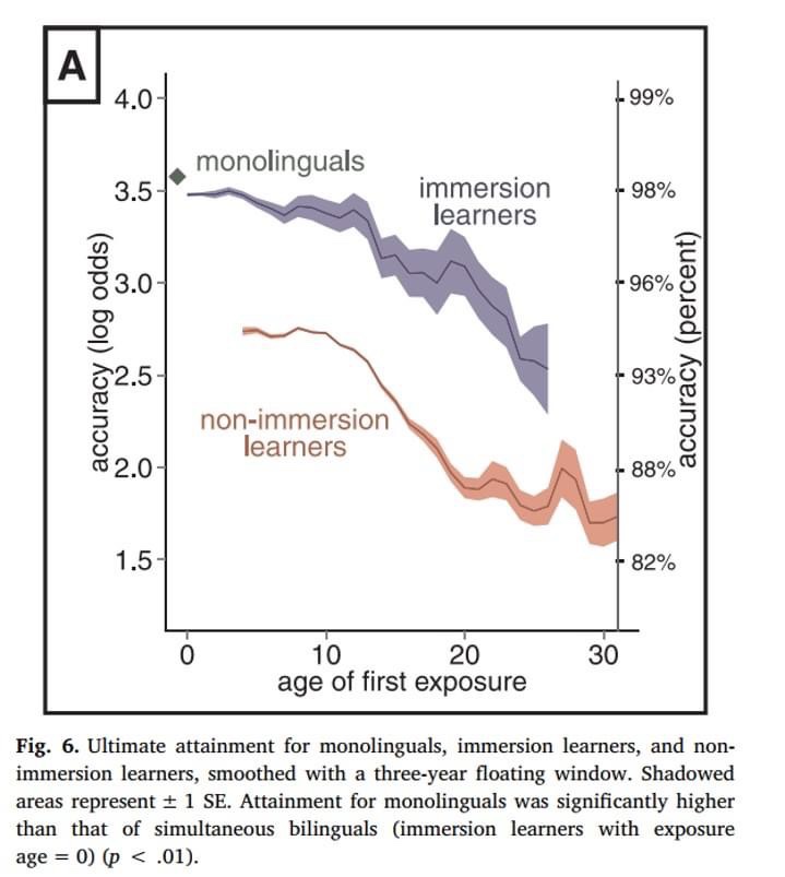沉浸式已被證實是最有效的方法(Pinker et al., 2018)