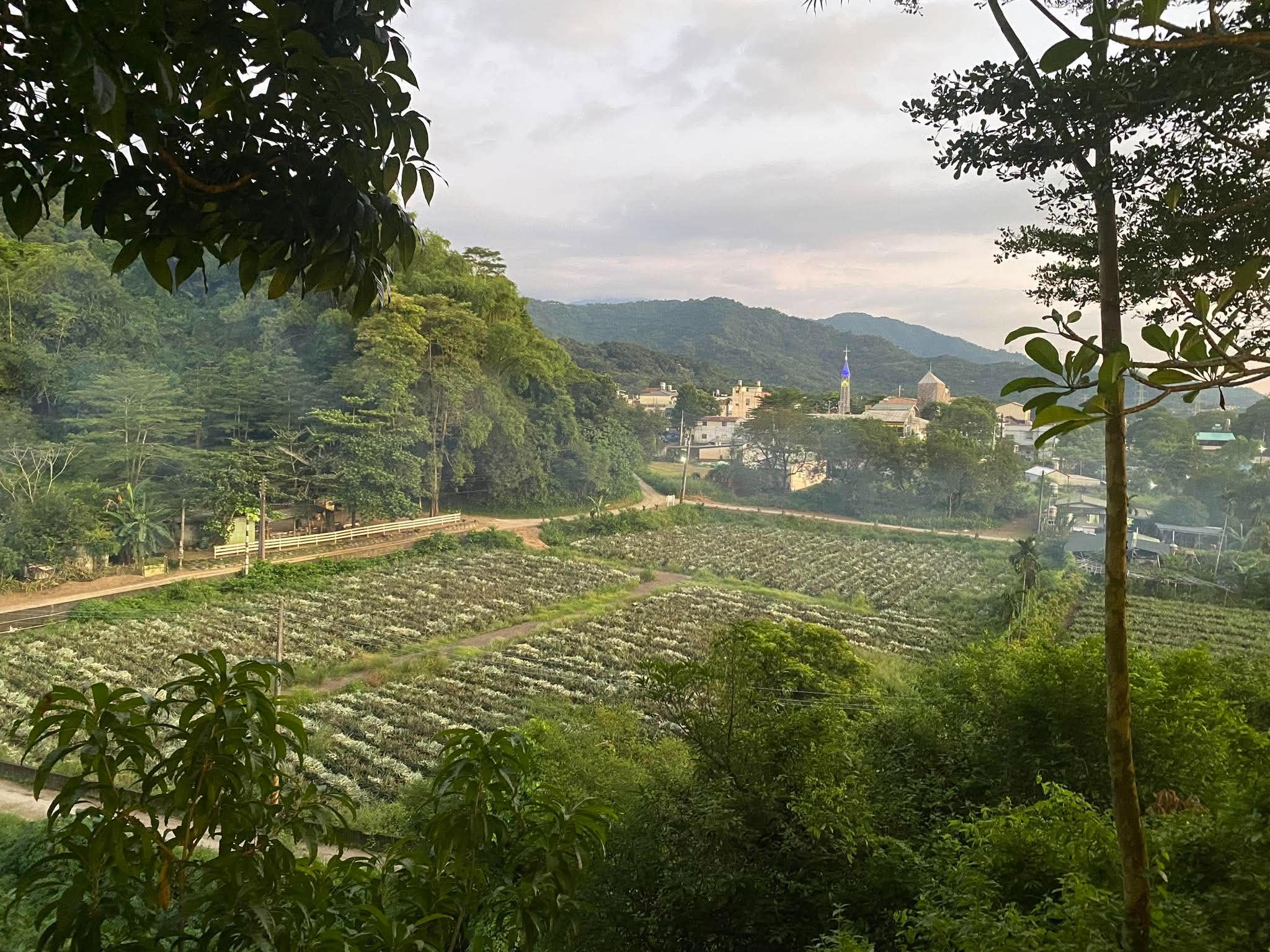 Paiwan language and cultural immersion in Taiwan